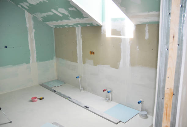 Best Forensic Mold Investigation  in Annapolis, MD