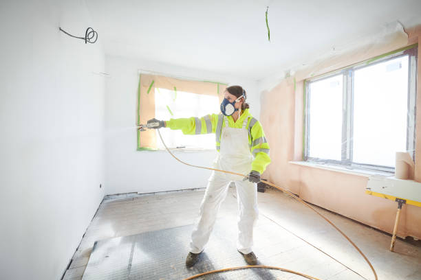 Best Basement Mold Removal  in Annapolis, MD
