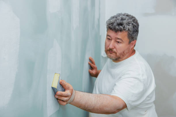 Best Black Mold Removal  in Annapolis, MD