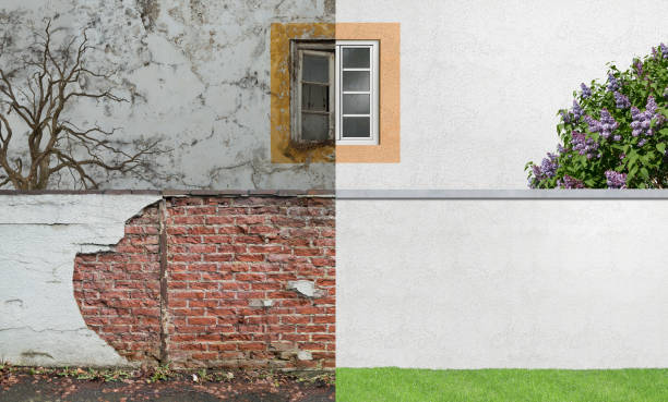 Best Mold Remediation for Healthcare Facilities  in Annapolis, MD