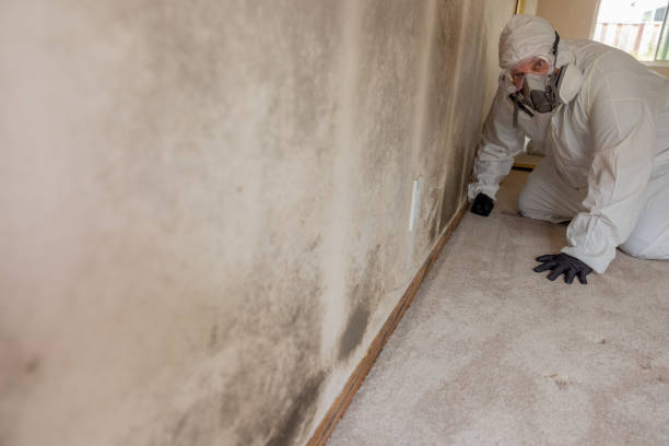 Dehumidification Services in Annapolis, MD